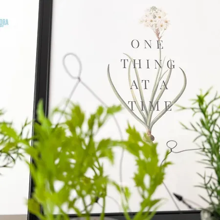 Slataper 12 Tirabora Short Rent Apartament *